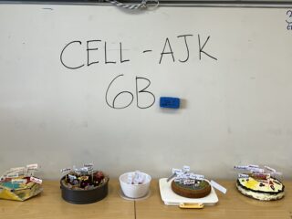 Jedlé buňky v 6. třídách - 17