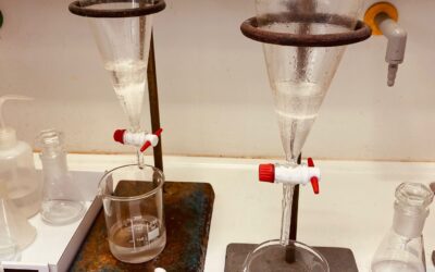 75f06e44-96b4-4f2e-99d7-c882c5c1f1bf