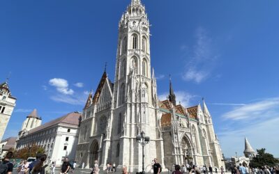 IMG_9246